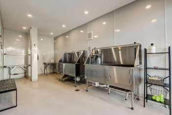 Indoor pet grooming spa